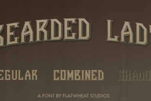 Bearded Lady Font for Bold Branding