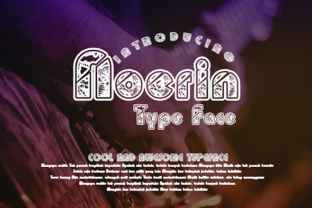 Noerin Font Review