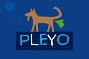 Pleyo Font for Creative Projects