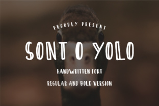 Sont O Yolo Font