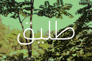 Taleeq - Arabic Typeface